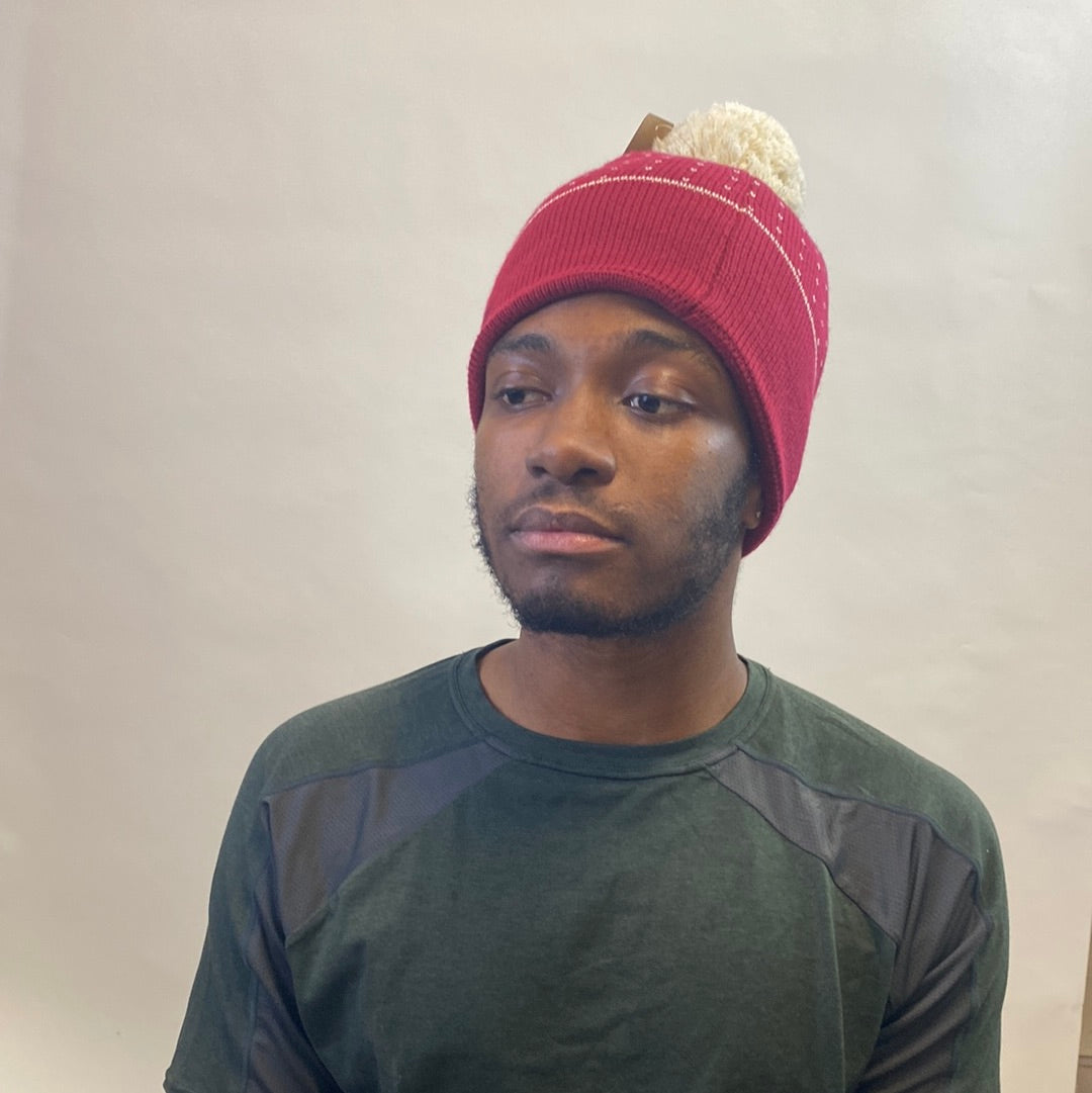 HAT Recycled Beanie